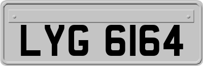 LYG6164
