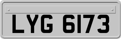 LYG6173