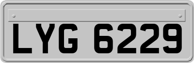 LYG6229
