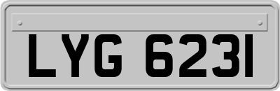 LYG6231