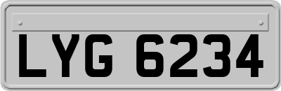 LYG6234