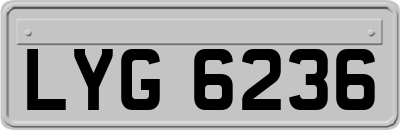 LYG6236