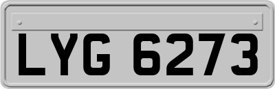 LYG6273