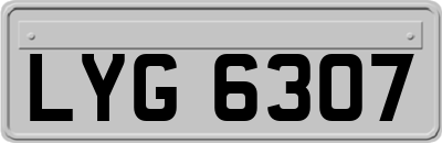 LYG6307