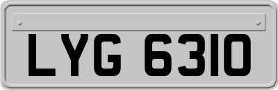 LYG6310