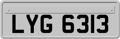 LYG6313