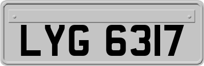 LYG6317