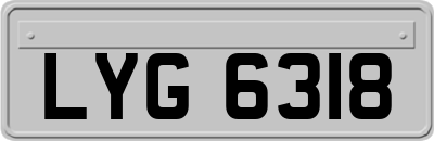 LYG6318