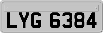 LYG6384