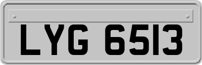 LYG6513
