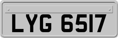 LYG6517