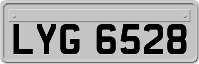 LYG6528