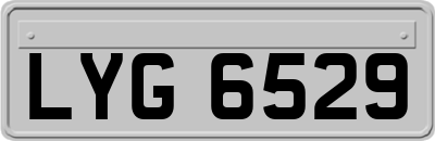 LYG6529