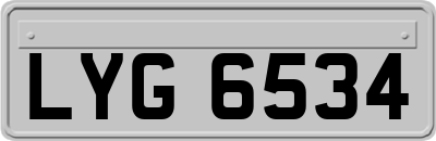 LYG6534