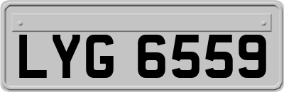 LYG6559