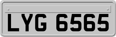 LYG6565