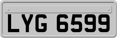 LYG6599