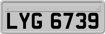 LYG6739