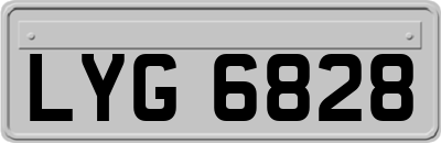 LYG6828