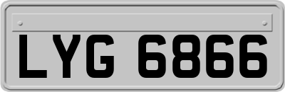 LYG6866