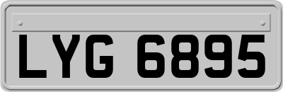 LYG6895