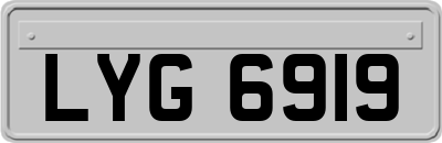 LYG6919