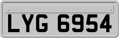 LYG6954