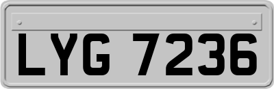 LYG7236