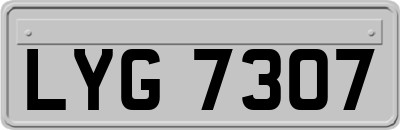 LYG7307