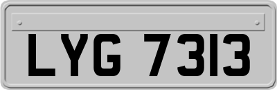 LYG7313
