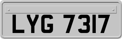 LYG7317