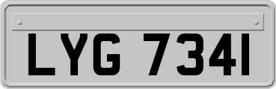 LYG7341