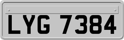 LYG7384