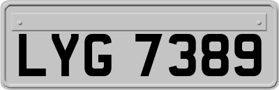 LYG7389