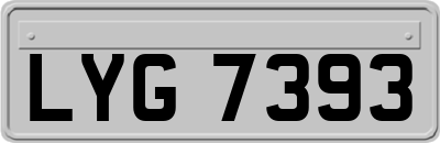 LYG7393