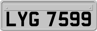 LYG7599
