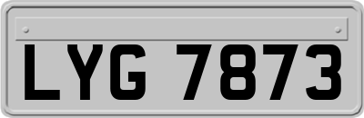 LYG7873