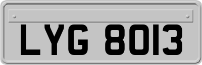 LYG8013