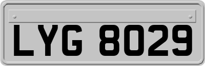 LYG8029