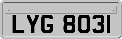 LYG8031