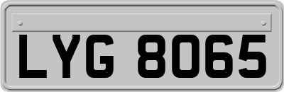 LYG8065