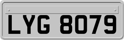 LYG8079