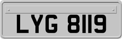 LYG8119