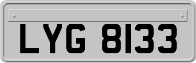 LYG8133