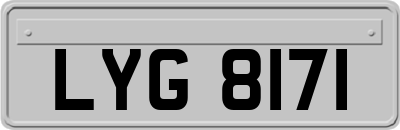 LYG8171