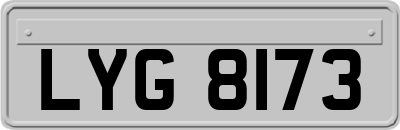 LYG8173