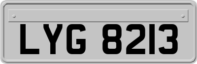 LYG8213