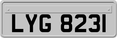 LYG8231