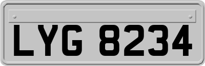 LYG8234