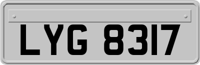 LYG8317